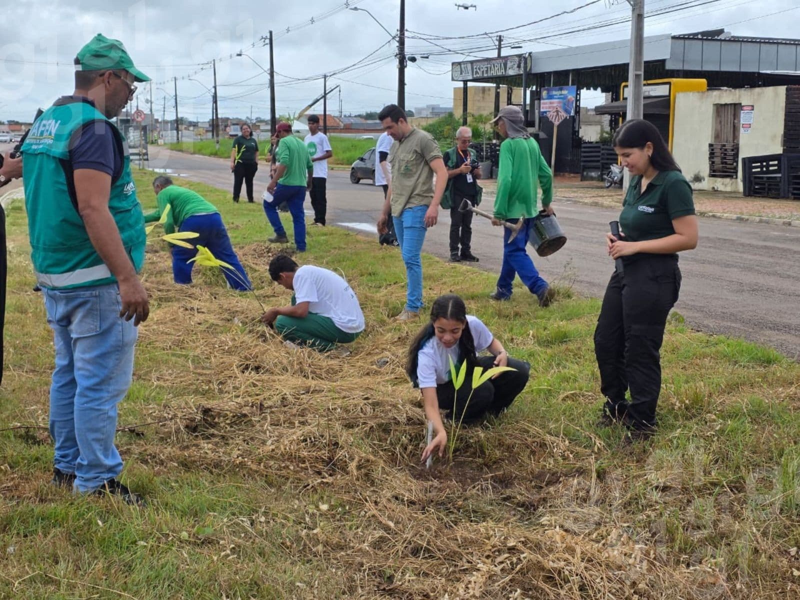 Estudantes seguram mudas de açaí durante plantio em canteiro central de bairro em Rio Branco.