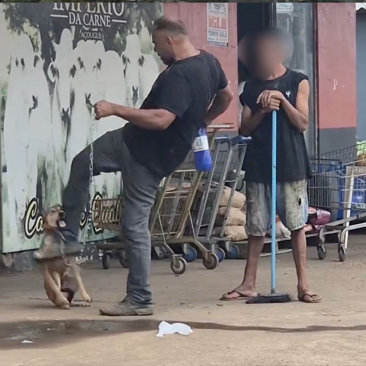 Cachorro da raça caramelo recebe atendimento veterinário após ser resgatado em Porto Velho.