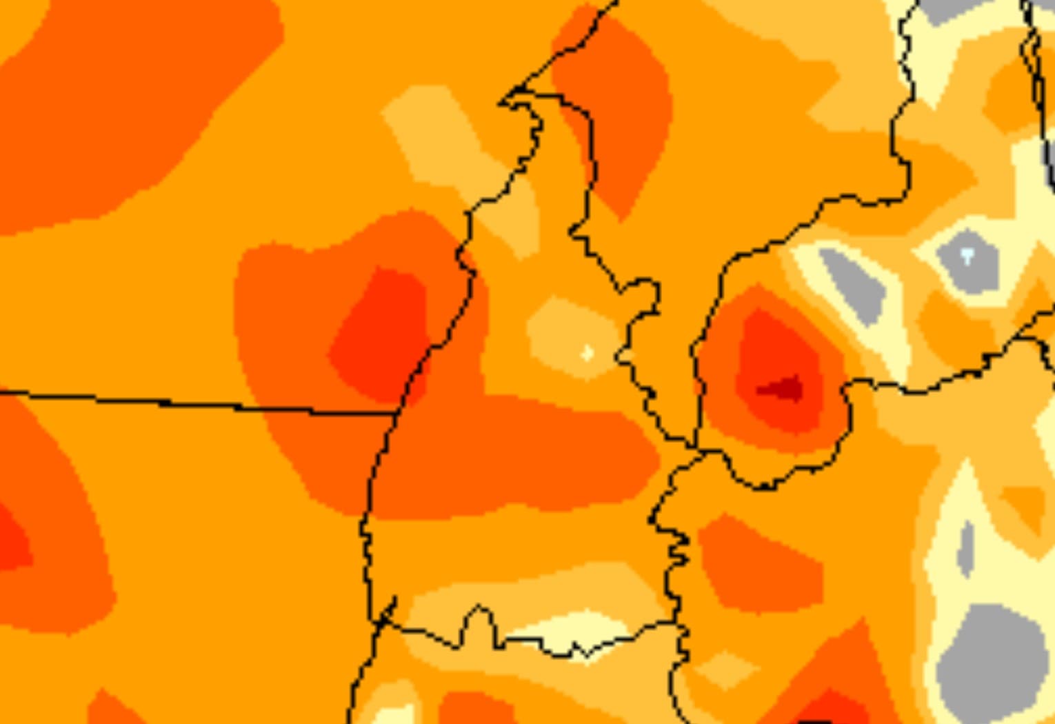 Lavoura de milho sob sol intenso no Tocantins, com céu limpo indicando baixa umidade.
