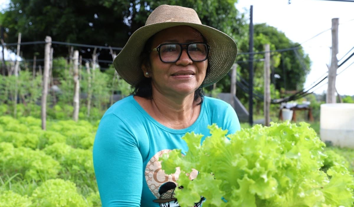 Vistoria técnica em área rural no Amazonas durante projeto de desenvolvimento.
