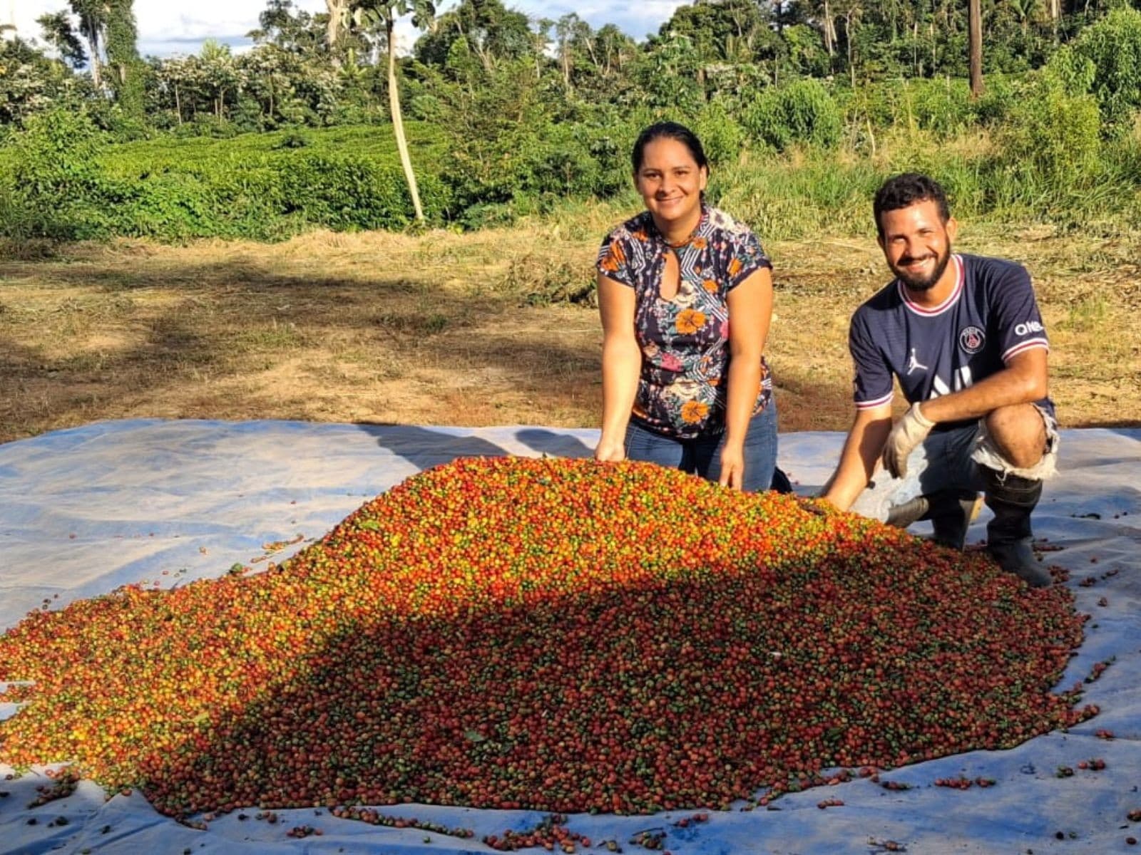 Produtor cuidando de lavoura de café em terra acreana
